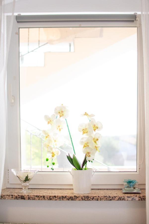 Appartement App Roko 2 *
