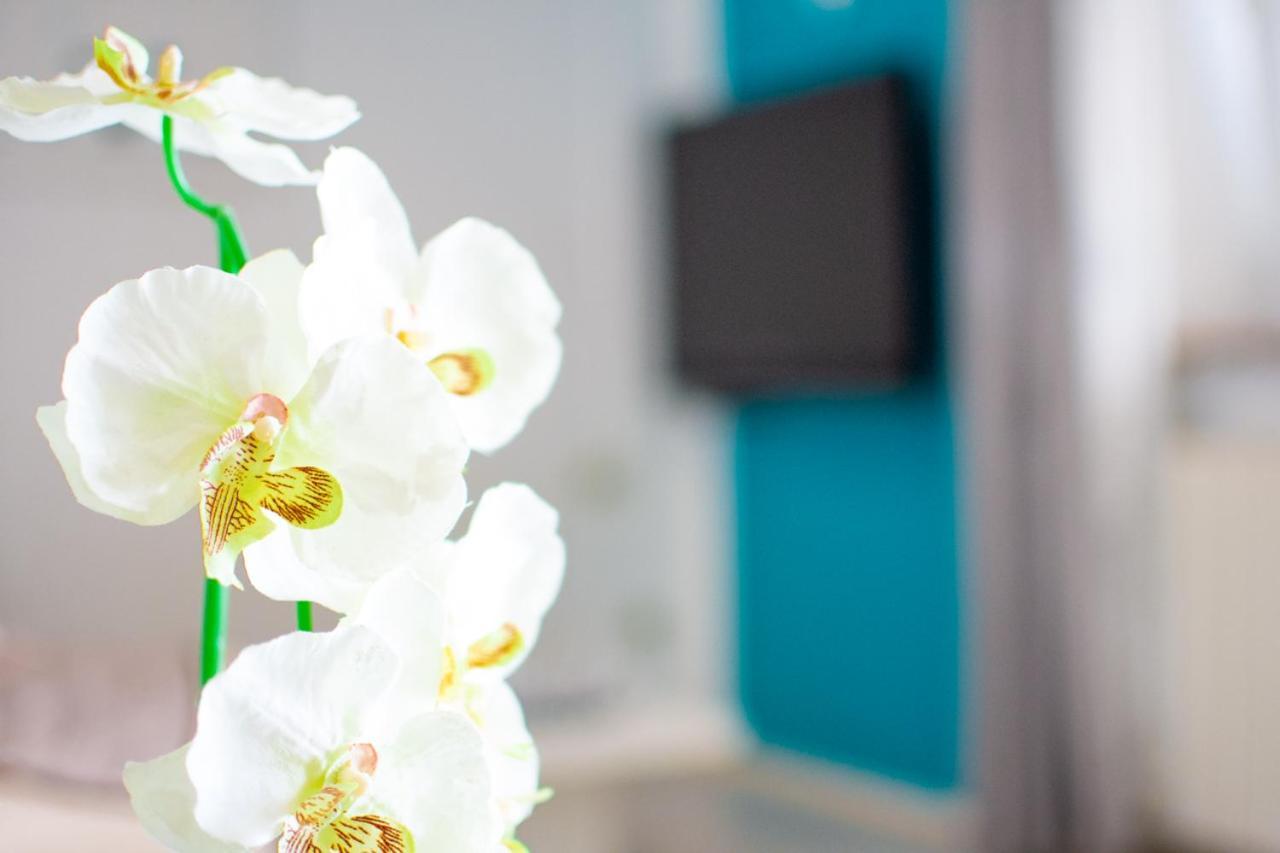 Apartman App Roko 2 *