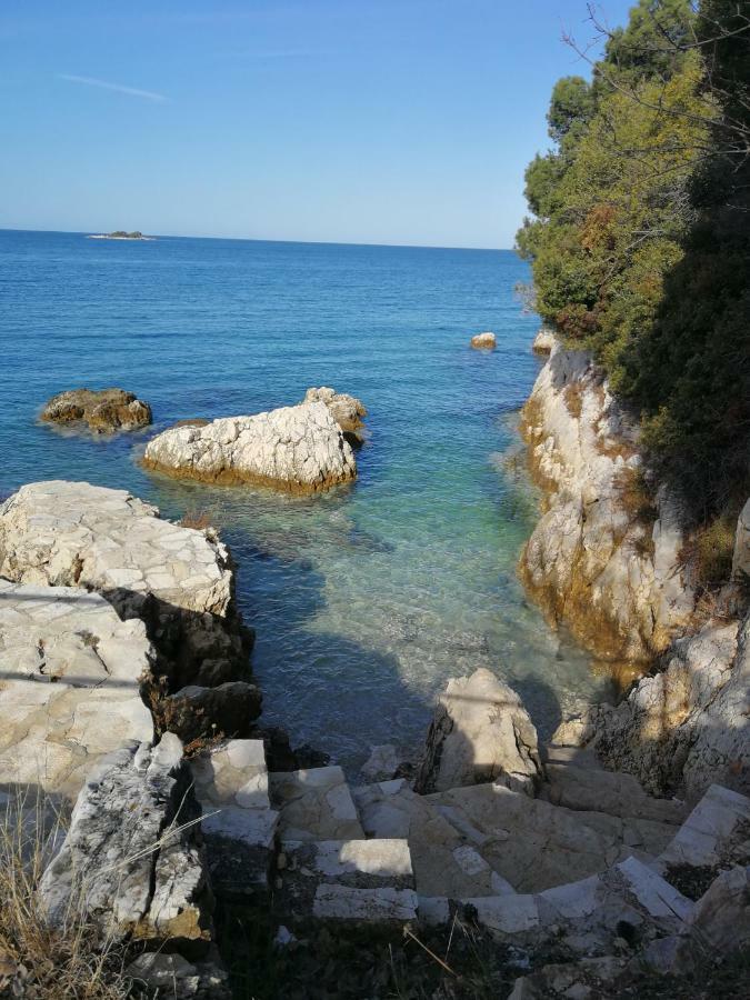 Apartman App Roko 2 *